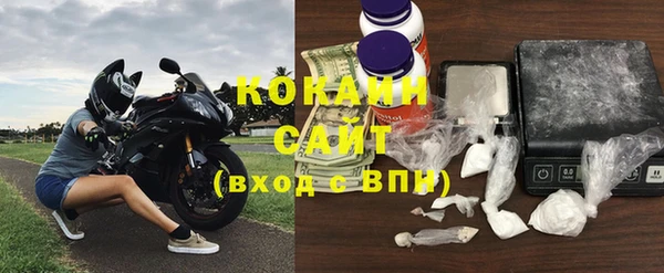 дживик Алзамай