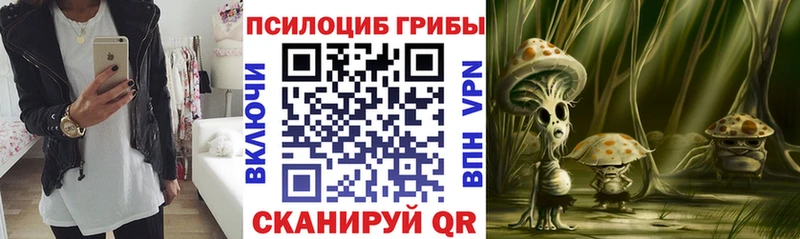 нарко площадка телеграм Нурлат Псилоцибиновые грибы мухоморы blacksprut ссылка